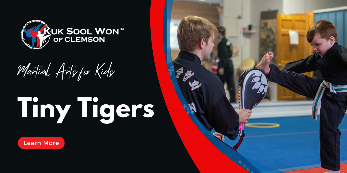 Tiny Tigers is designed to introduce young students to martial arts in a fun and positive environment - where encouragement, confidence, positive association with physical exercise, martial arts basics and character development are the primary goals.