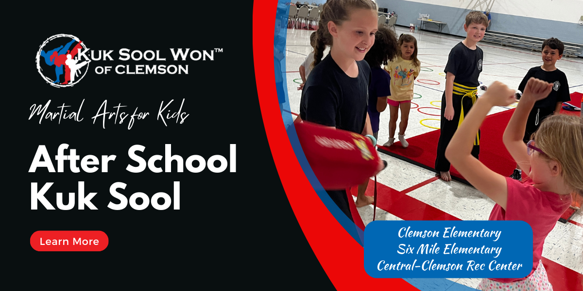 After-School Kuk Sool is designed to be a convenient, inexpensive and fun way try martial arts training.  All classes are on your elementary school site at the end of the school day.