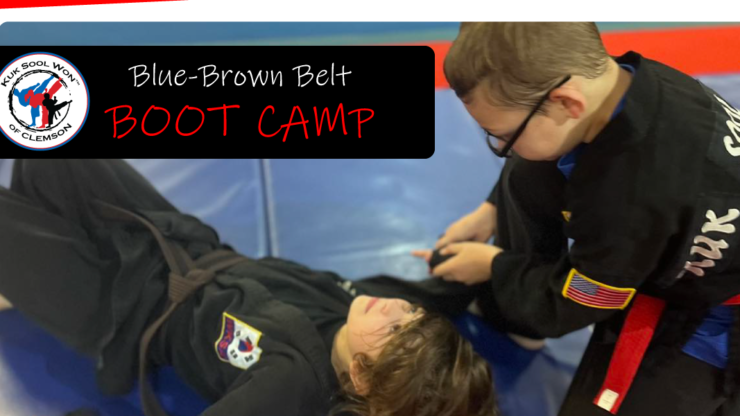 Blue-Brown Belt Boot Camp