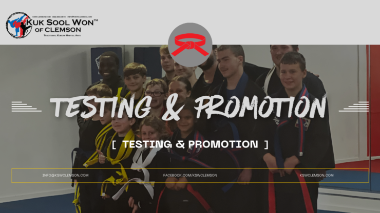 Belt Testing & Promotion (Saturday)