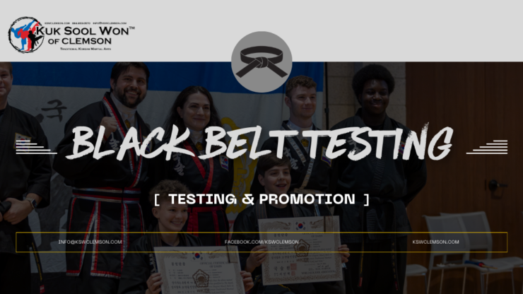 Black Belt Testing
