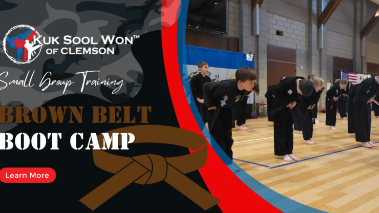 Brown Belt Boot Camp Small Group Lessions
