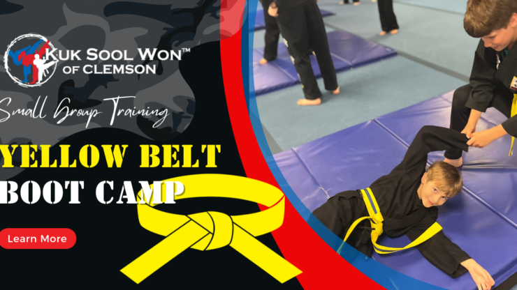 Yellow Belt Boot Camp Small Group Lessions